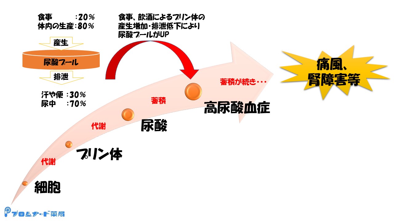 プロムナード便り3月編(尿酸値)1