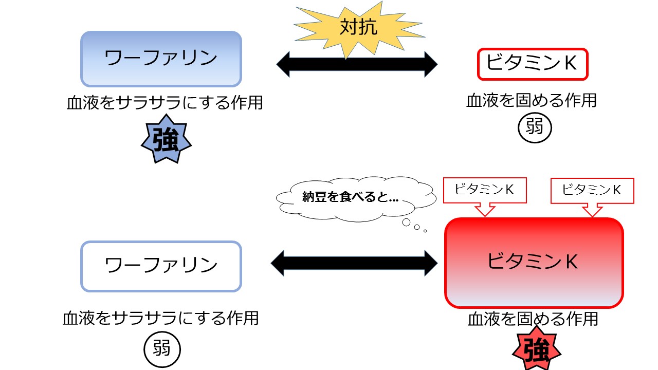 ワーファリンvsビタミンK